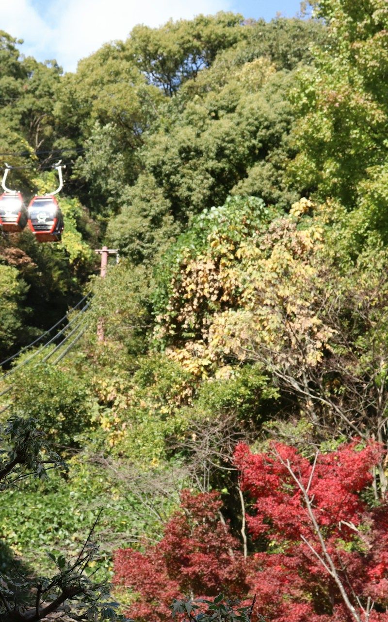 Berget Rokko